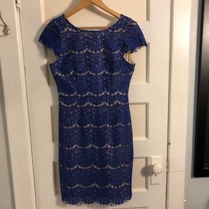 Blue Eyelash Lace Dress
